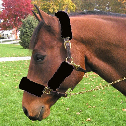 Basic Fleece Halter Tube Set
