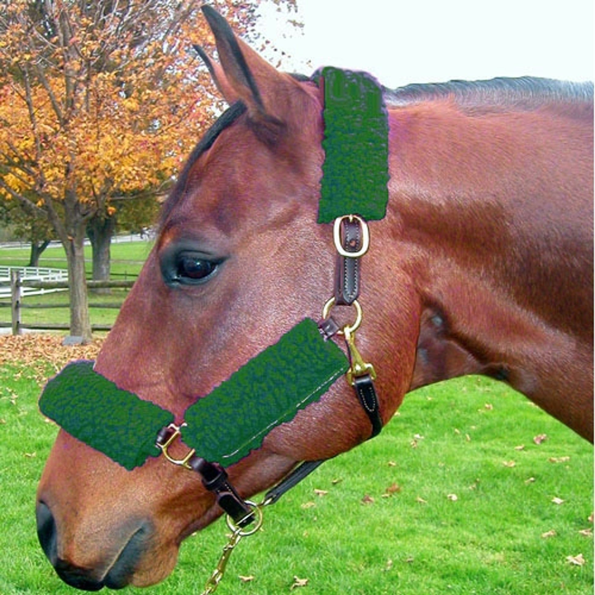 Basic Fleece Halter Tube Set
