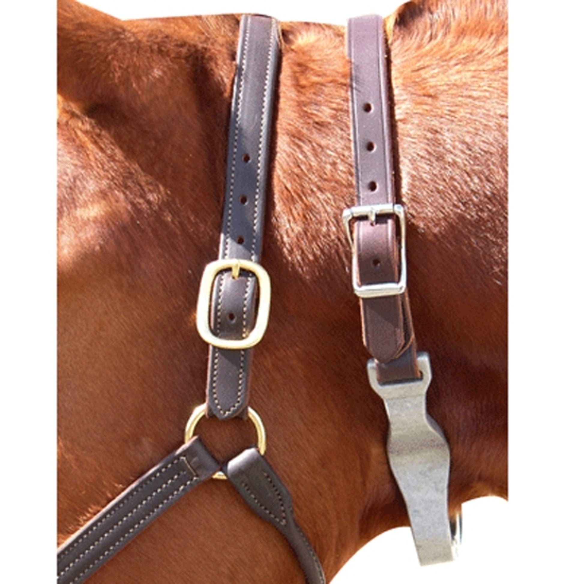 Cribbing Rings Leather Crown Nutcracker Cribbing Strap– HorseLoverZ