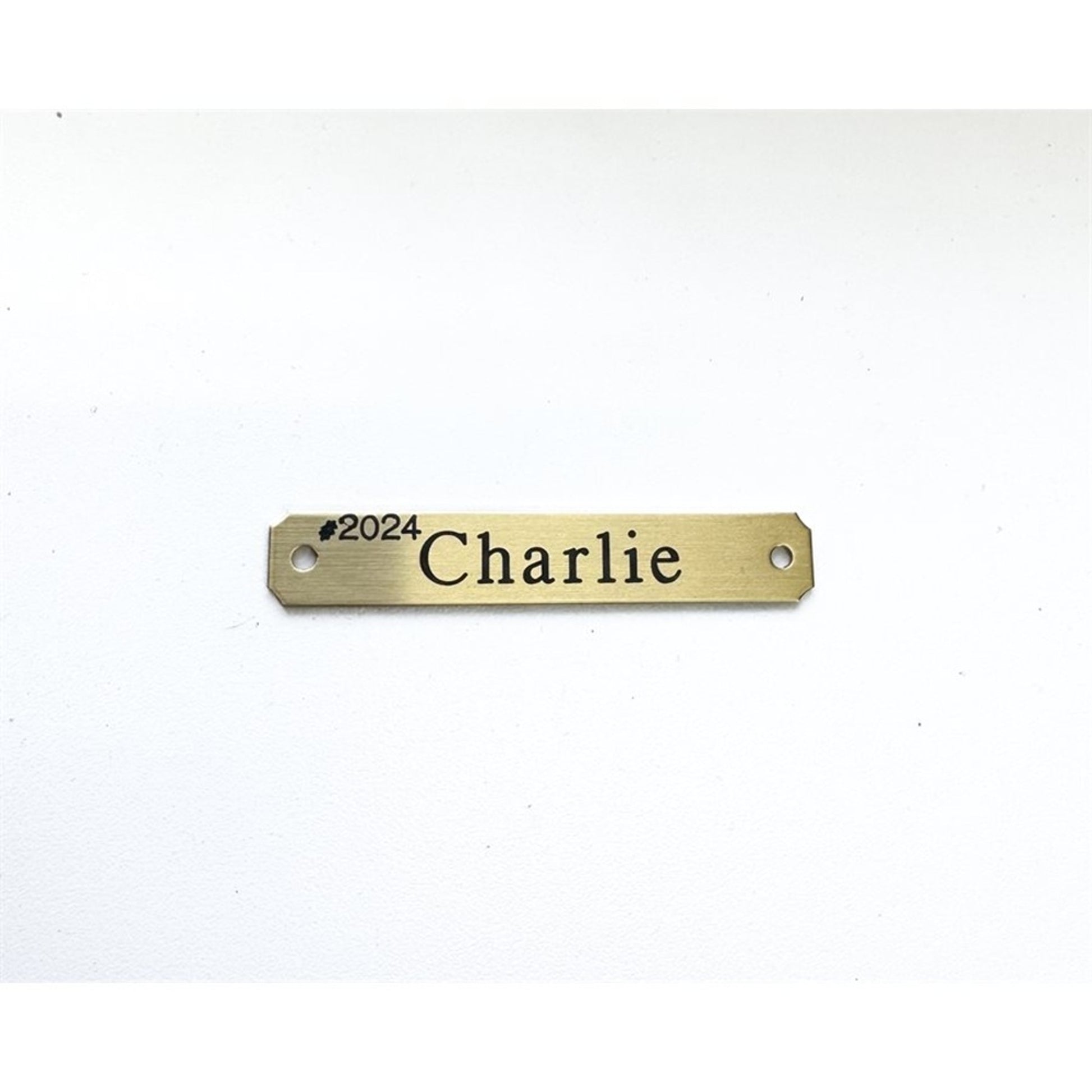 Perri's Notched Personalized Plate