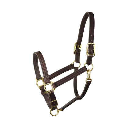 Perri's 1" Turnout Halter