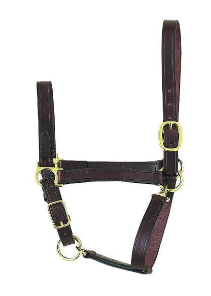 Perri's Economy Leather Halter