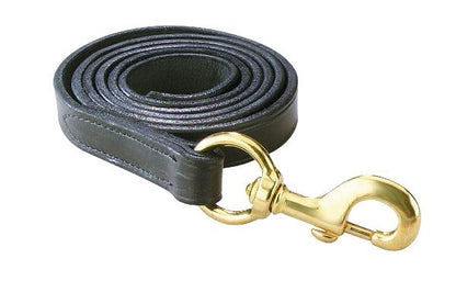 Perri's Leather Lead with Snap