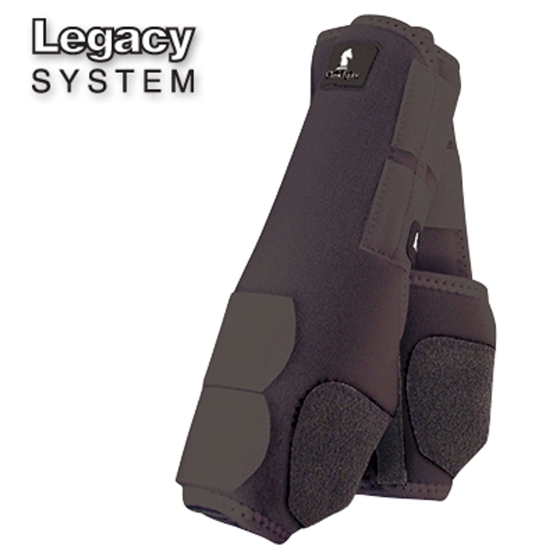 Classic Legacy System Hind