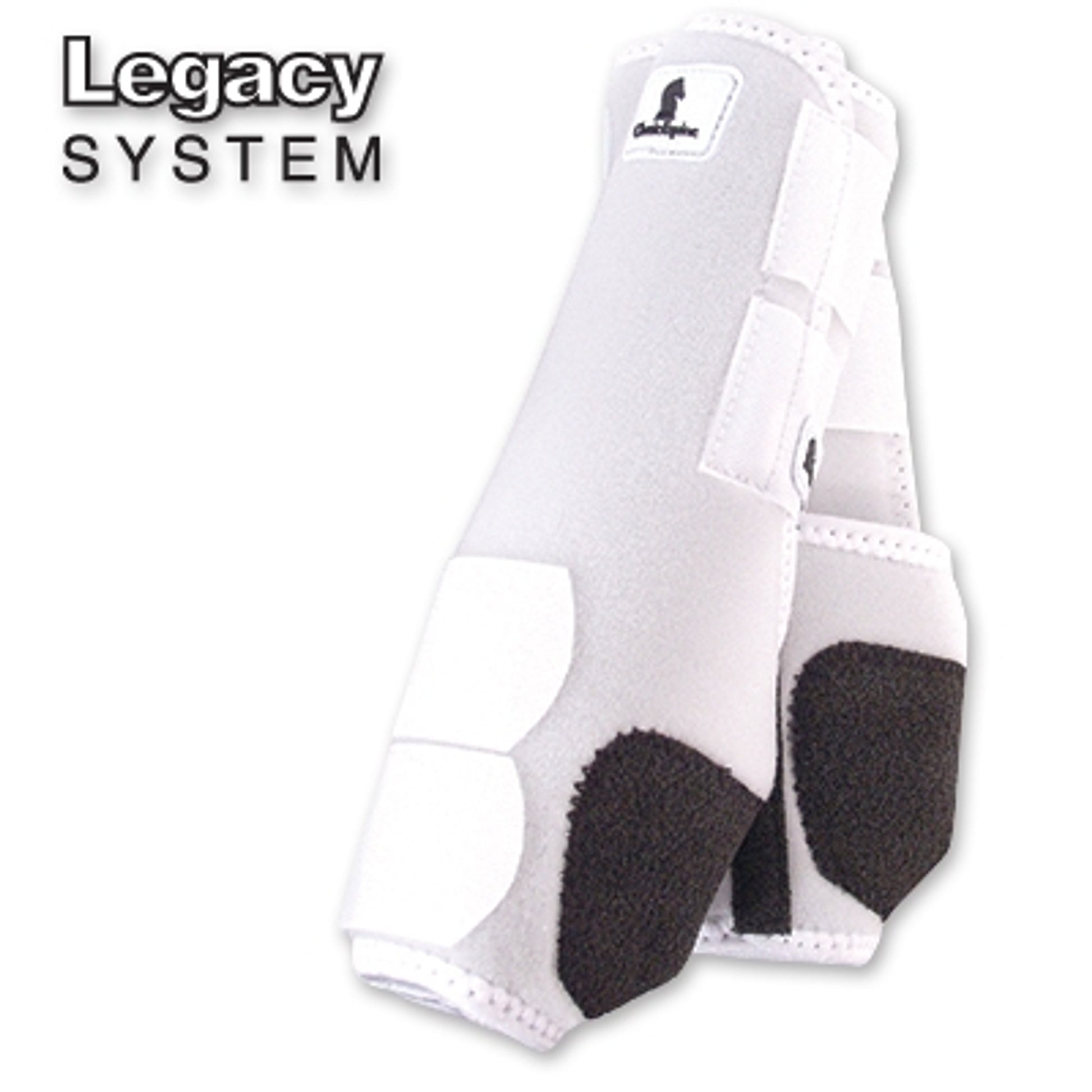 Classic Legacy System Hind