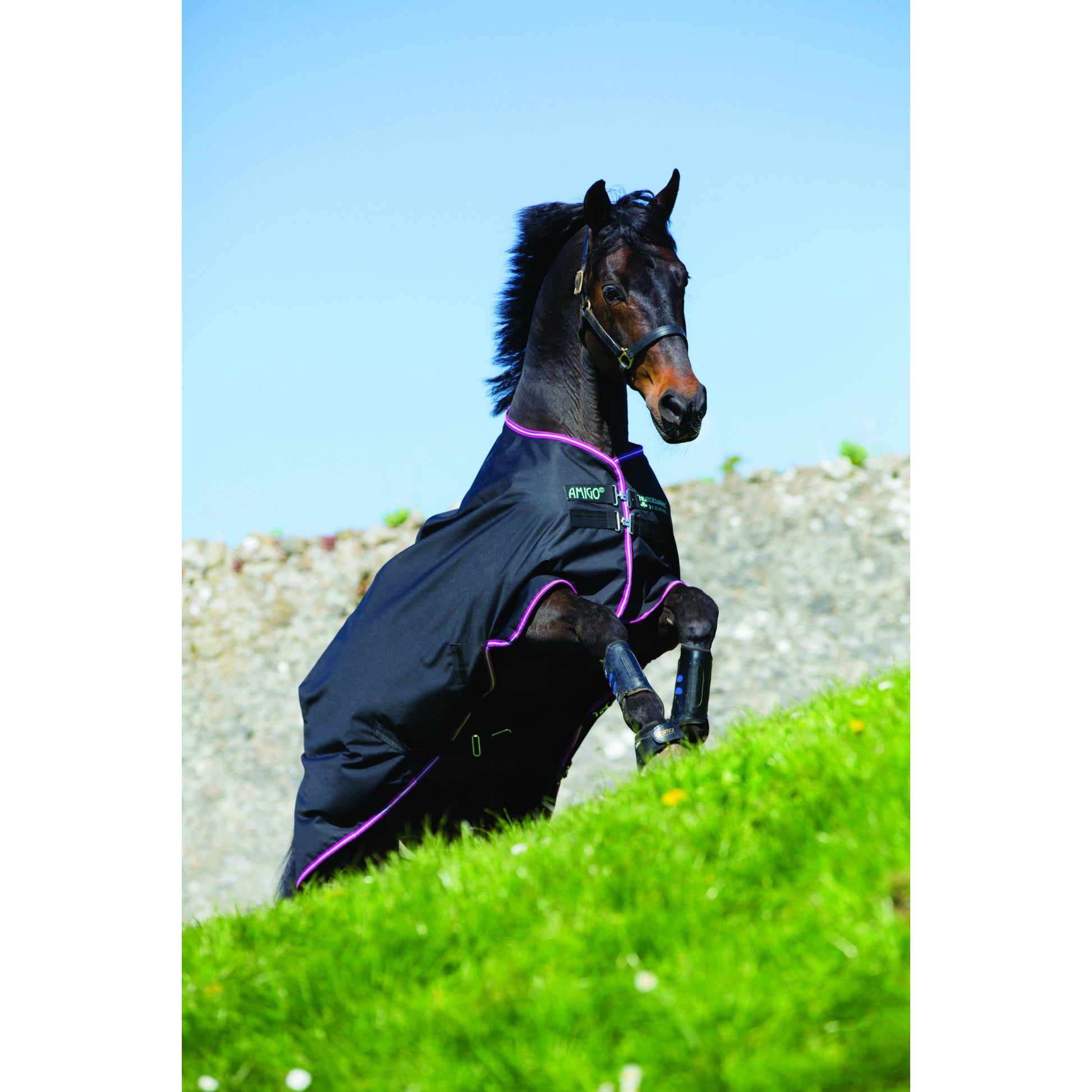 Amigo Hero Turnout Blanket - Lightweight (0g)
