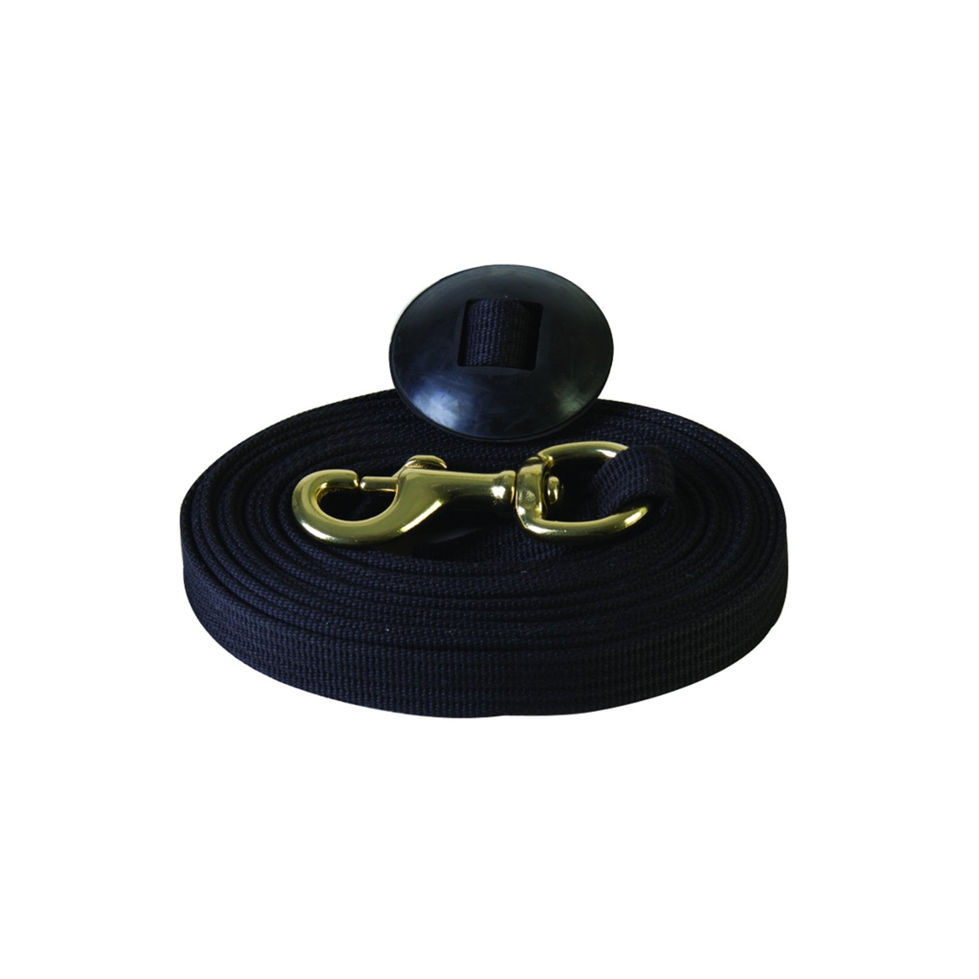 Basic Flat Cotton Web Lunge Line