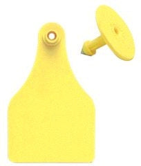 Allflex Ear Tag Blank