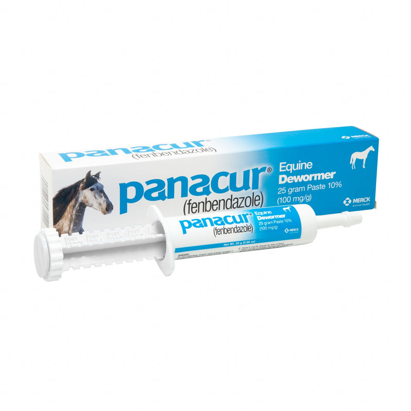 Panacur Paste Equine Dewormer