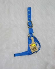 Cow Turn Out Halter