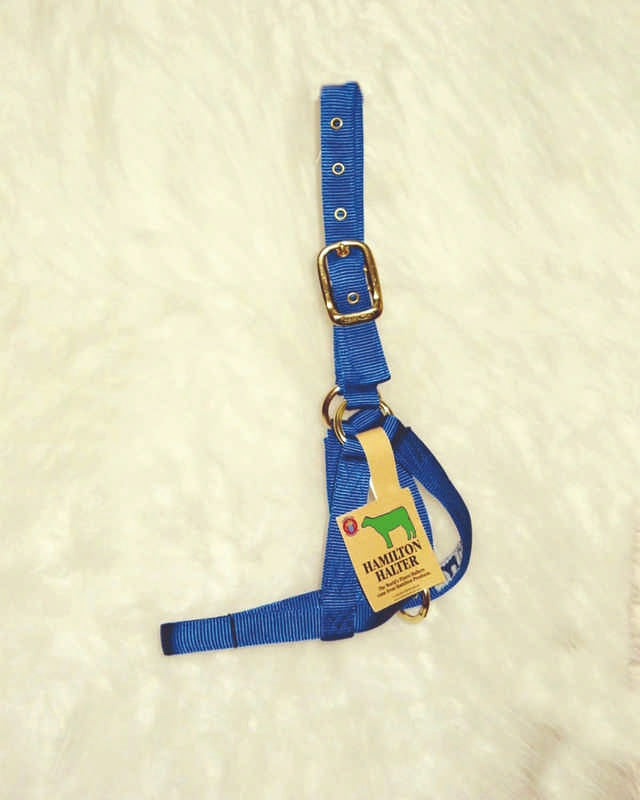 Calf Turn Out Halter