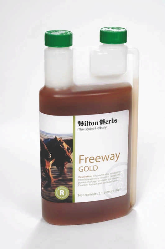 Freeway Gold for horses