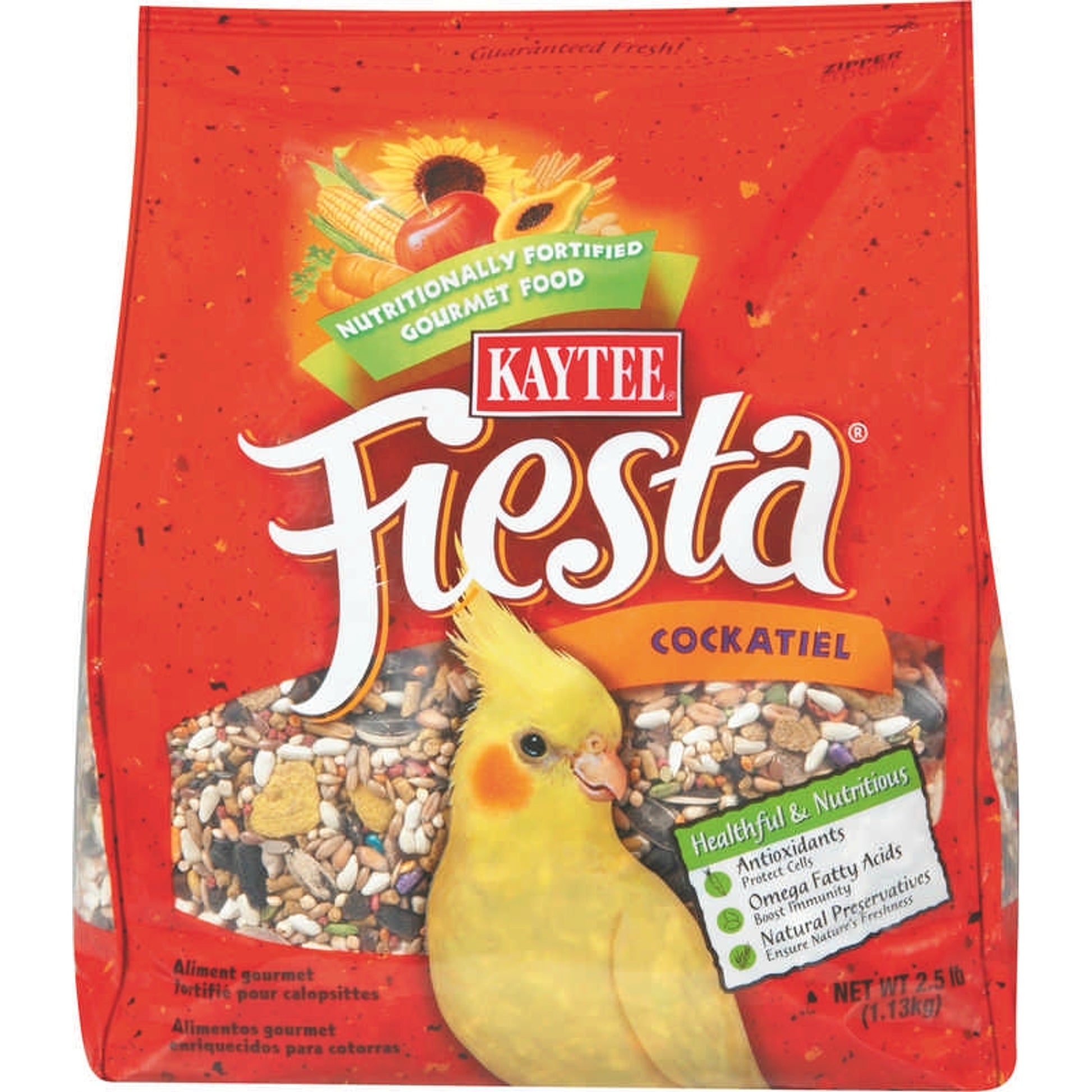 Fiesta Food