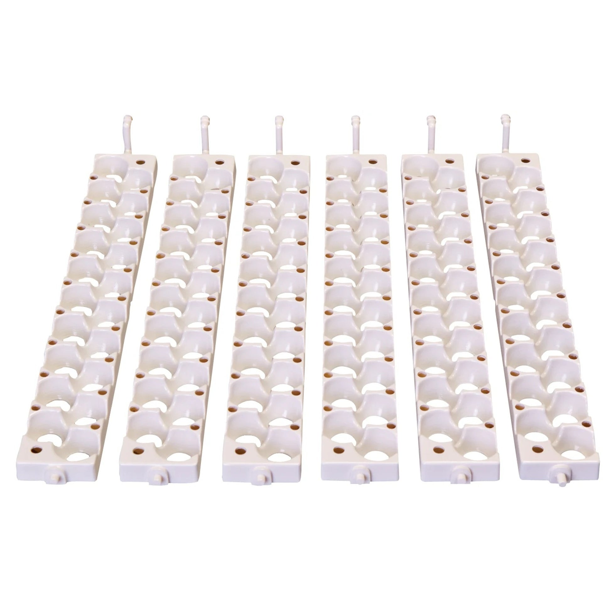 Little Giant Quail Egg Rails