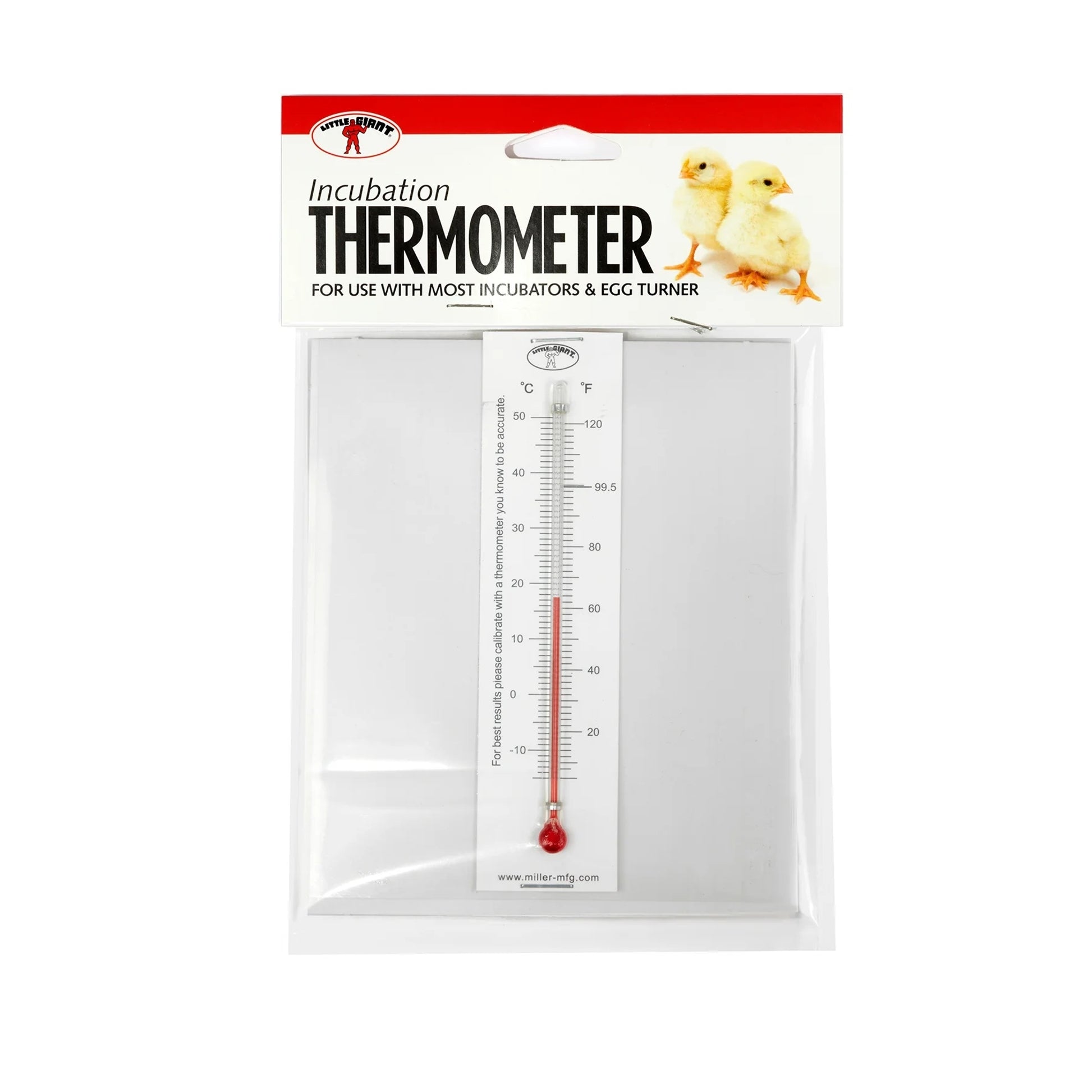 Little Giant Incubator Thermometer