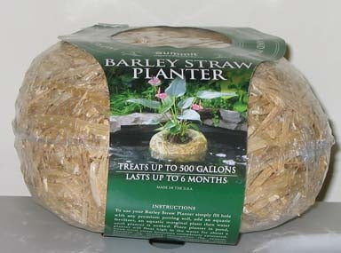 Barley Straw Floating Planter for Clearing Ponds