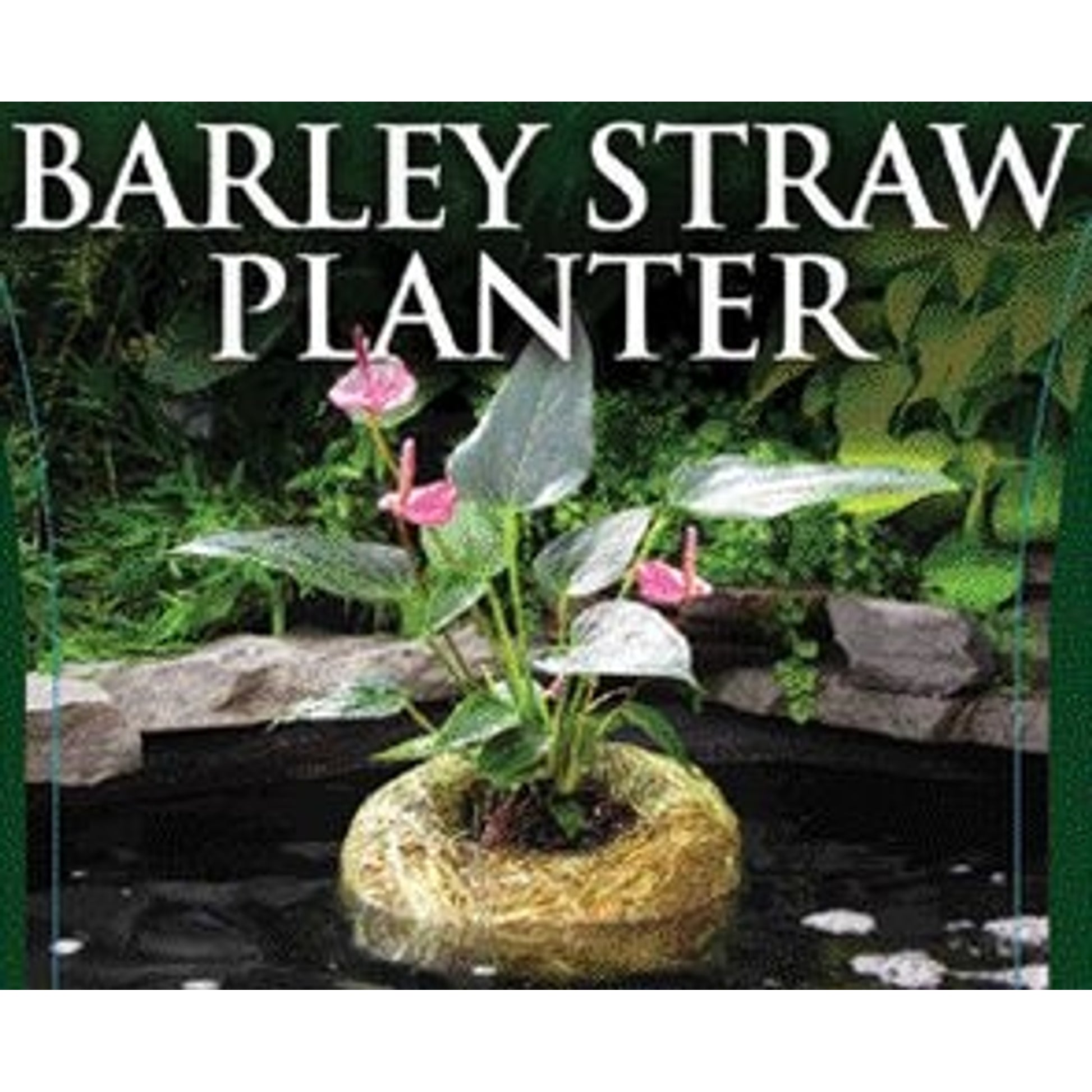 Barley Straw Floating Planter for Clearing Ponds