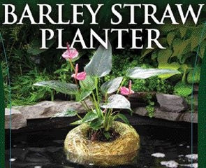 Barley Straw Floating Planter for Clearing Ponds