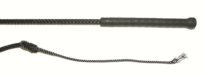 Lunge Whip With Popper