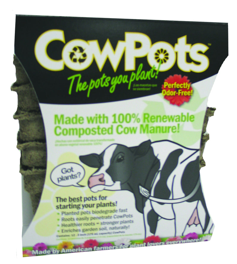 Cow Pots - 12 Pack 3 Inch Brown