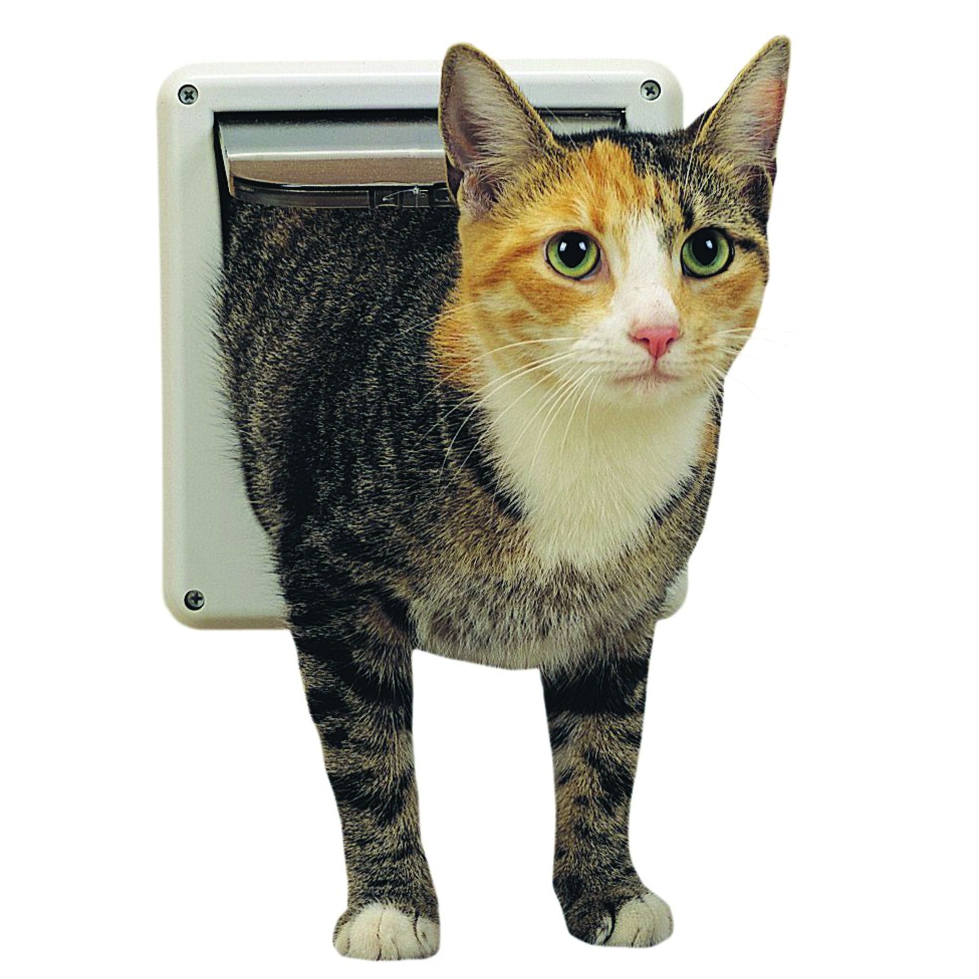 PetSafe 2-Way Locking Cat Door