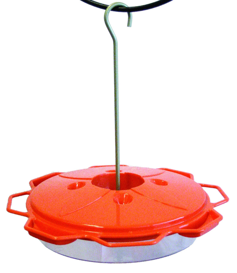 Audubon Oriole Feeder