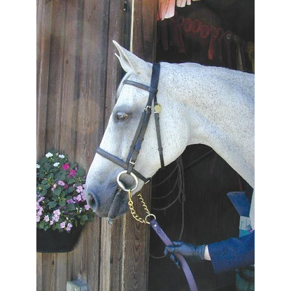 Nunn Finer Newmarket Shank