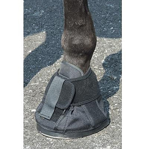 Natural Hoof Shoe