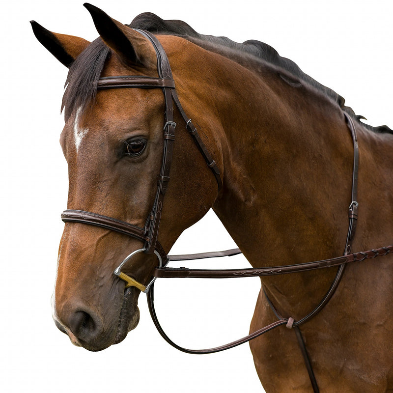 M. Toulouse Raised Bridle with Covered Reins