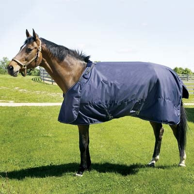 Hug Abrazo Turnout Blanket
