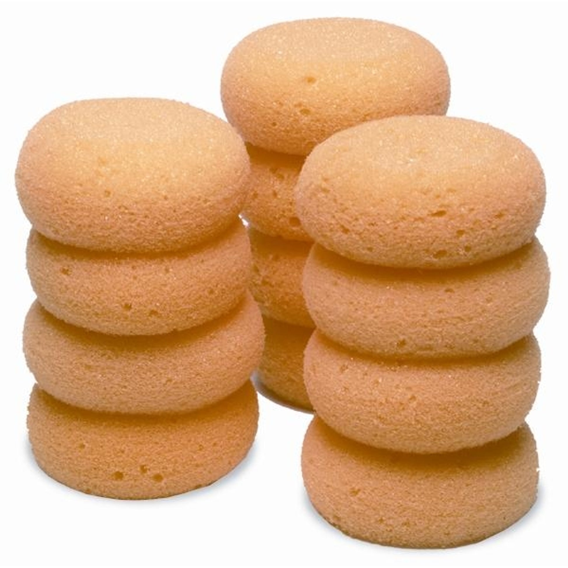 Pack of 12 Tack Sponges