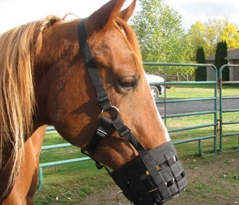 Grazing Muzzle Halter