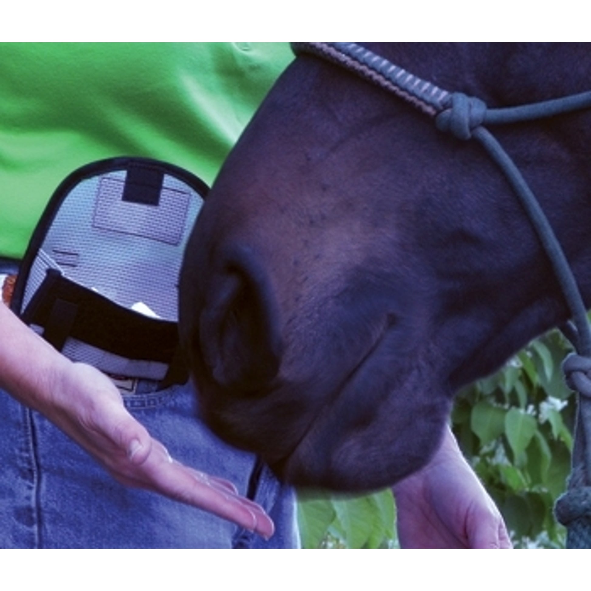 Just Rewards Treat Pouch II