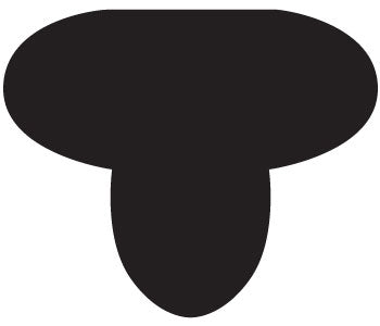 Cashel Race Exercise Shaped Cushion Pad