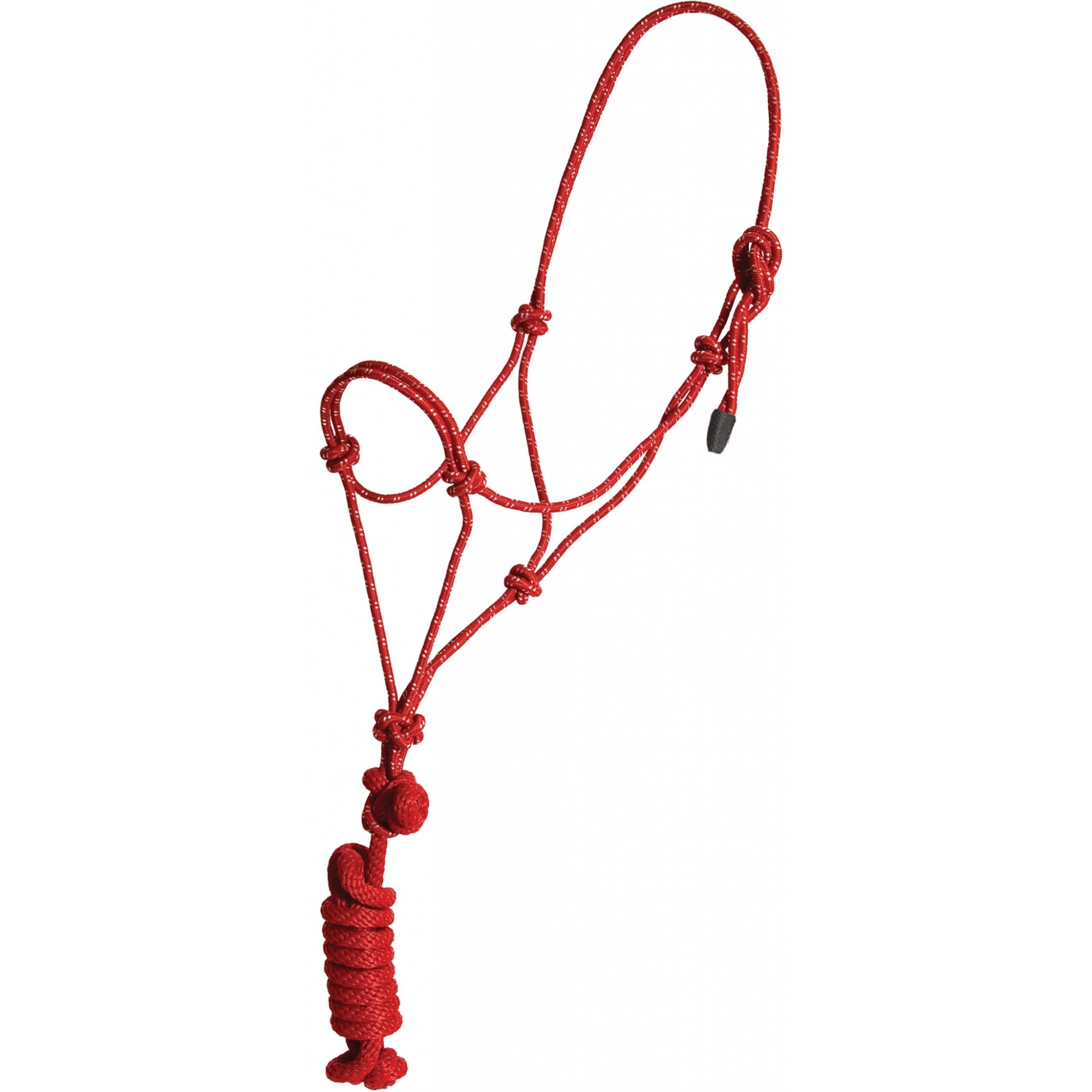 Mustang Economy Mountain Rope Halter and Lead