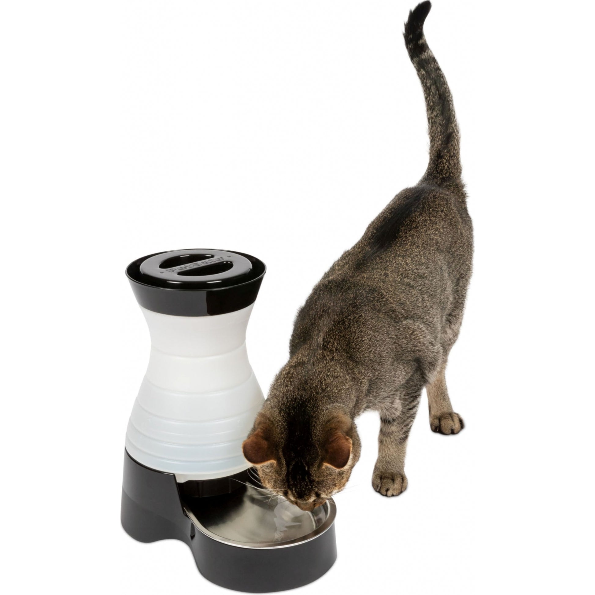 HEALTHY PET WATER STATION