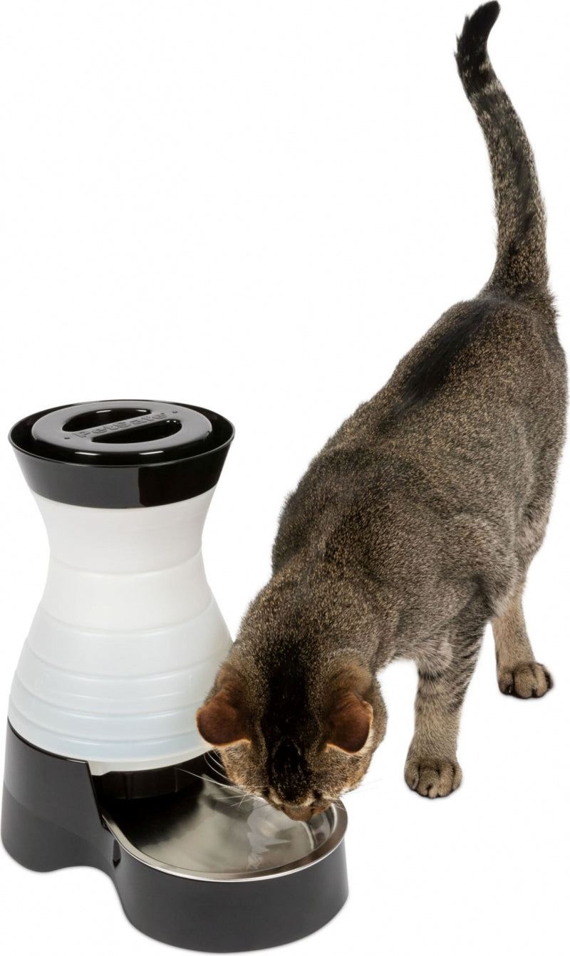 HEALTHY PET WATER STATION