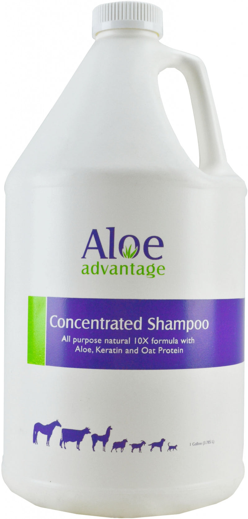 Durvet Aloe Concentrated Shampoo 10X