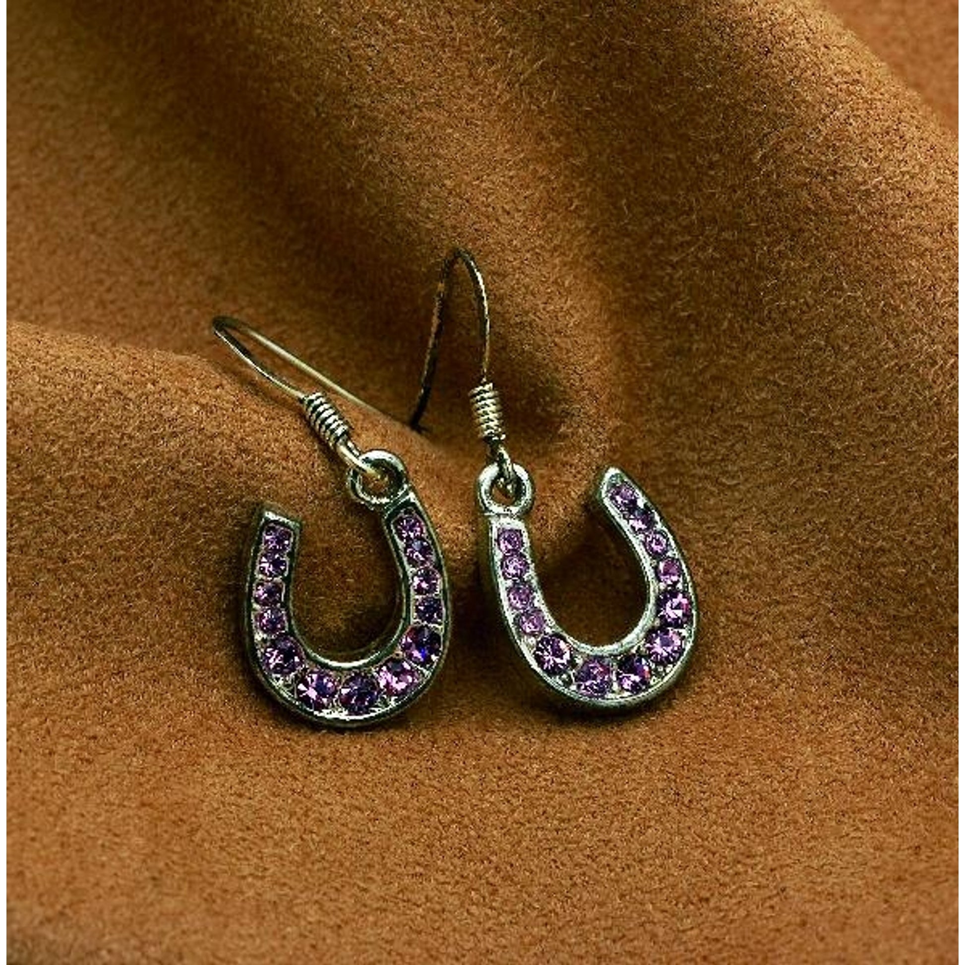 Rhinestone Horseshoe Dangle Earrings