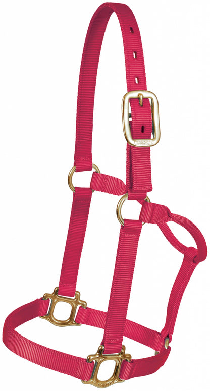 Mustang Traditional Nylon Halter with Brass Plated Hardware