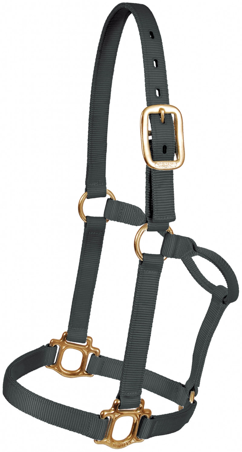 Mustang Colt Traditional Nylon Halter