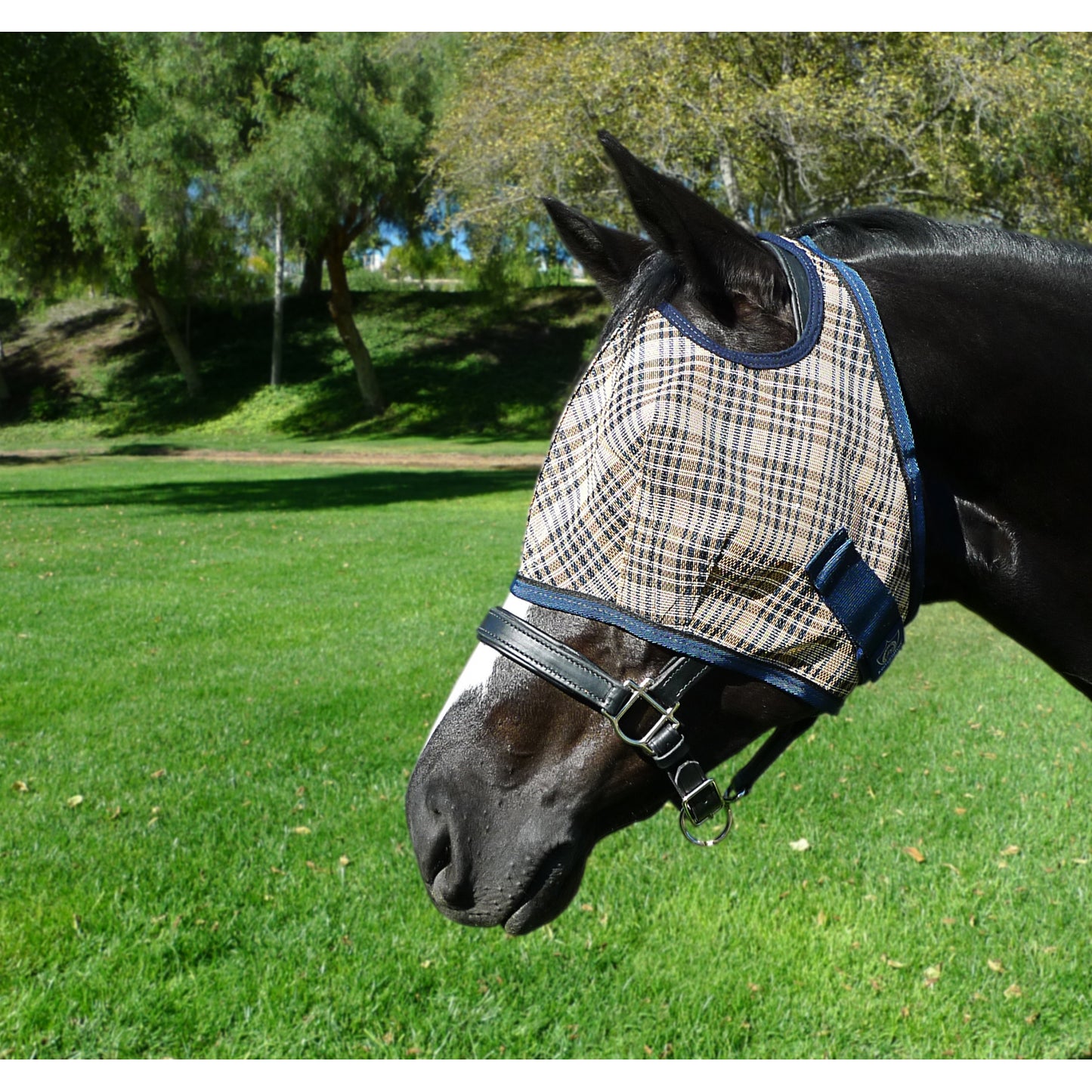 5-446950englishnavyplaid.jpg