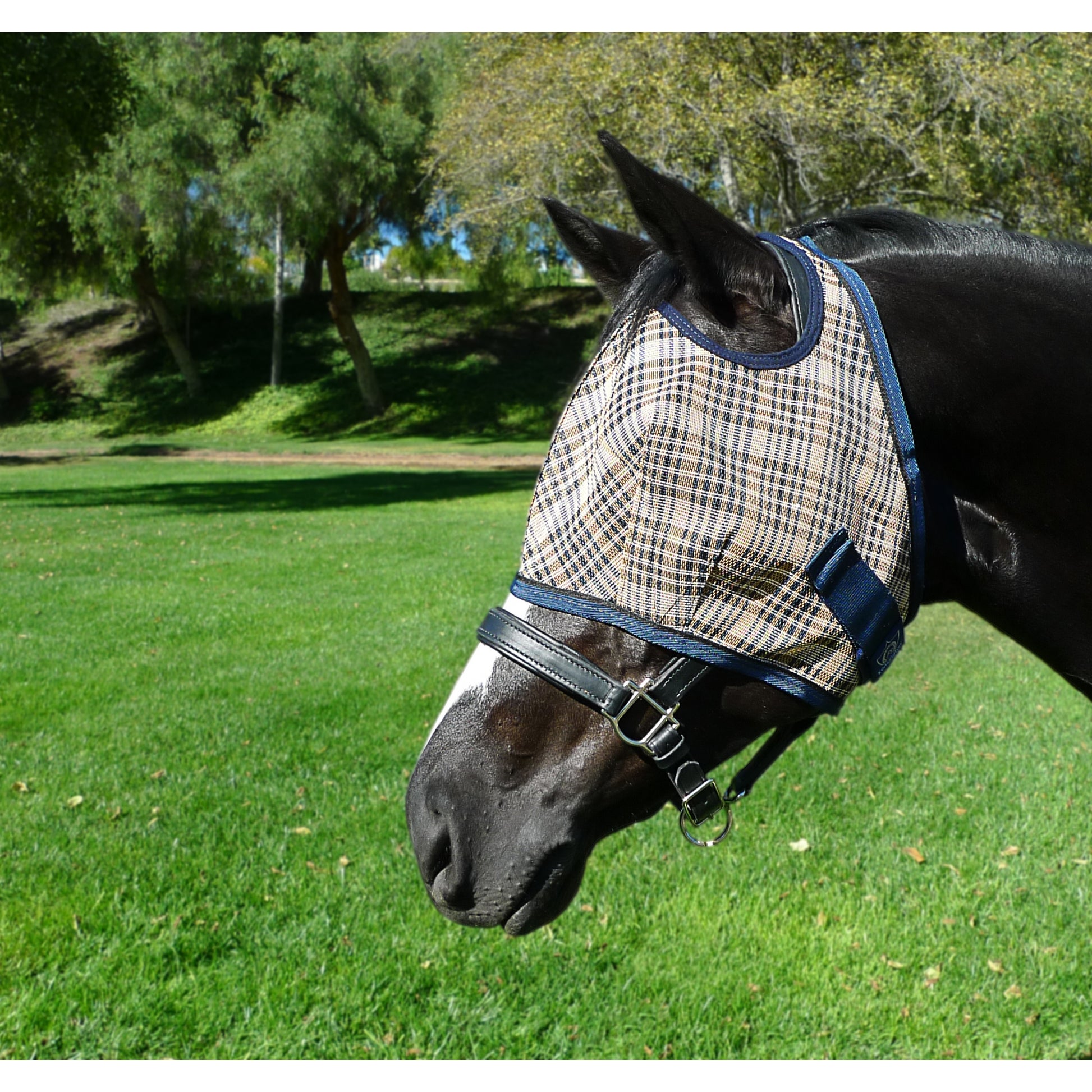 Kensington Fly Mask with Web Trim