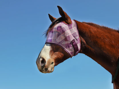 Kensington Fly Mask with Web Trim