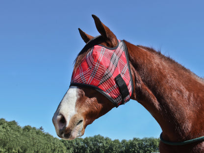 Kensington Fly Mask with Web Trim