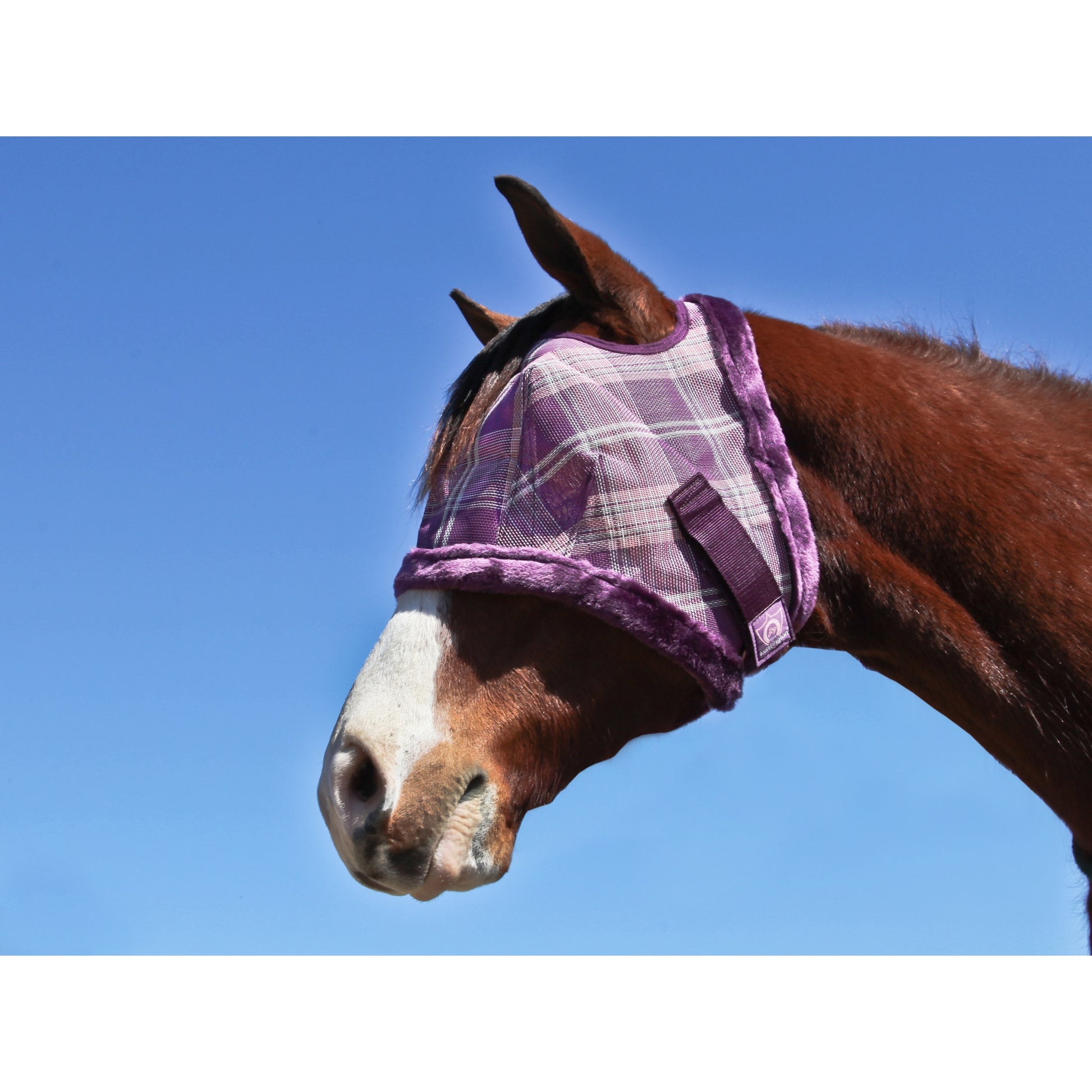 Kensington UV Fly Mask with Fleece Trim - Open Top