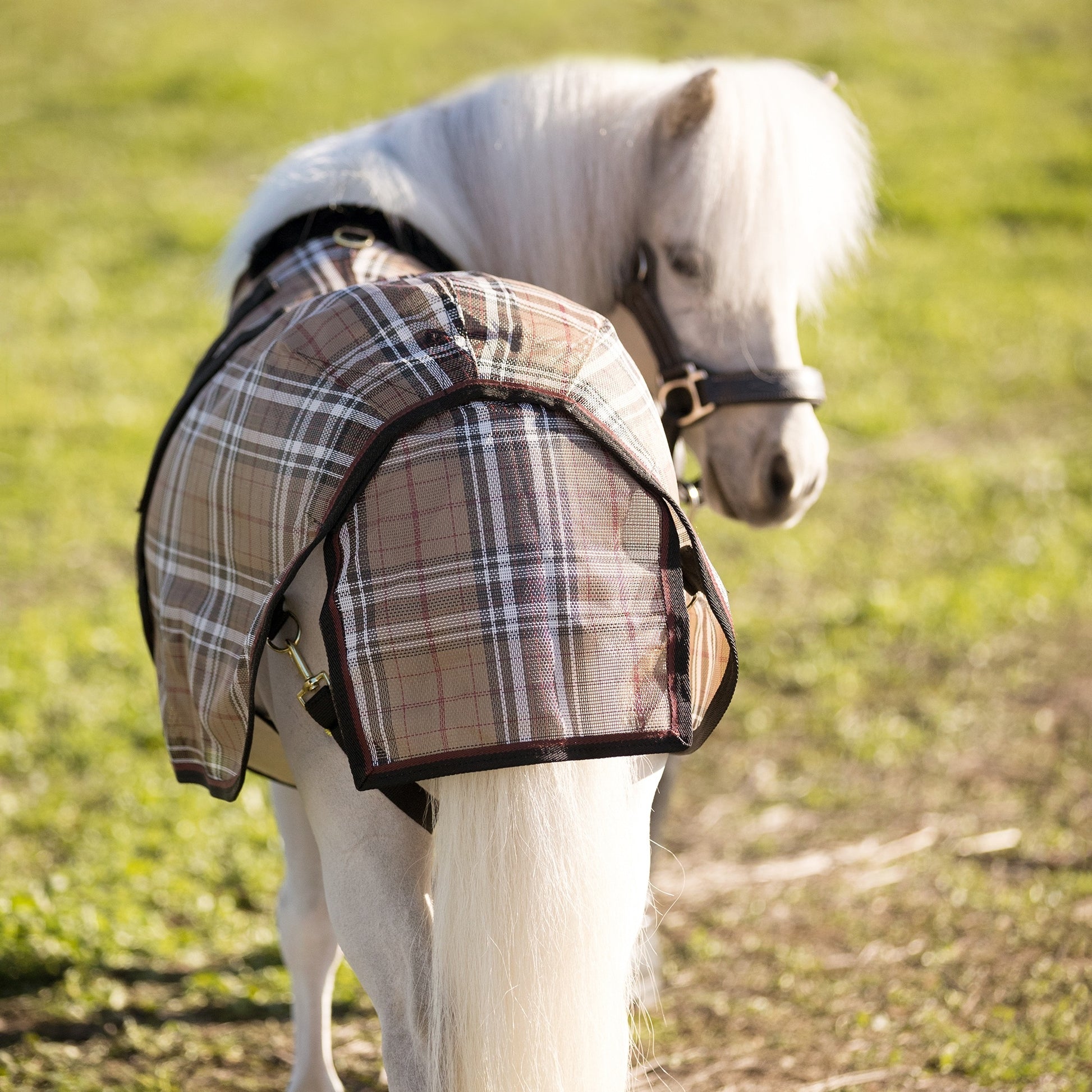 Kensington Mini Protective Fly Sheet