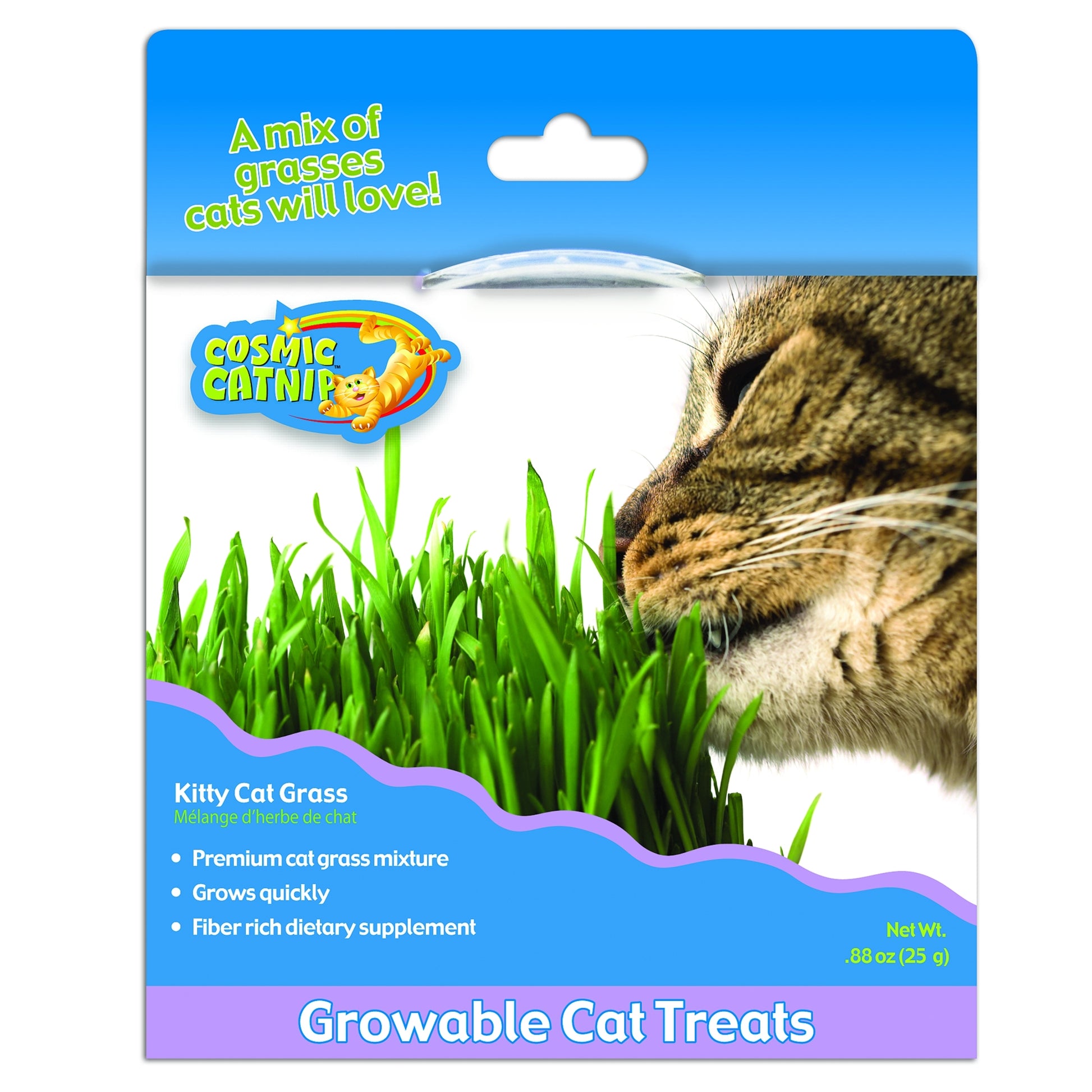 Cosmic Catnip Kitty Cat Grass