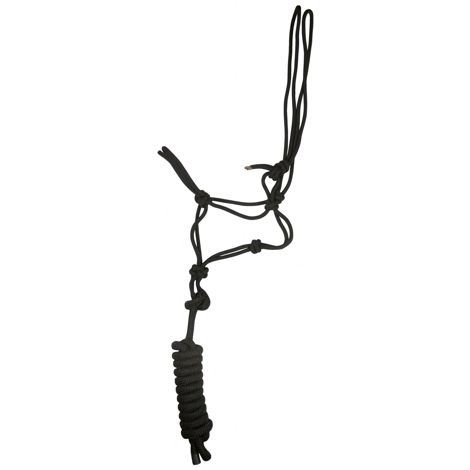 Gatsby Classic Cowboy Halter with Lead
