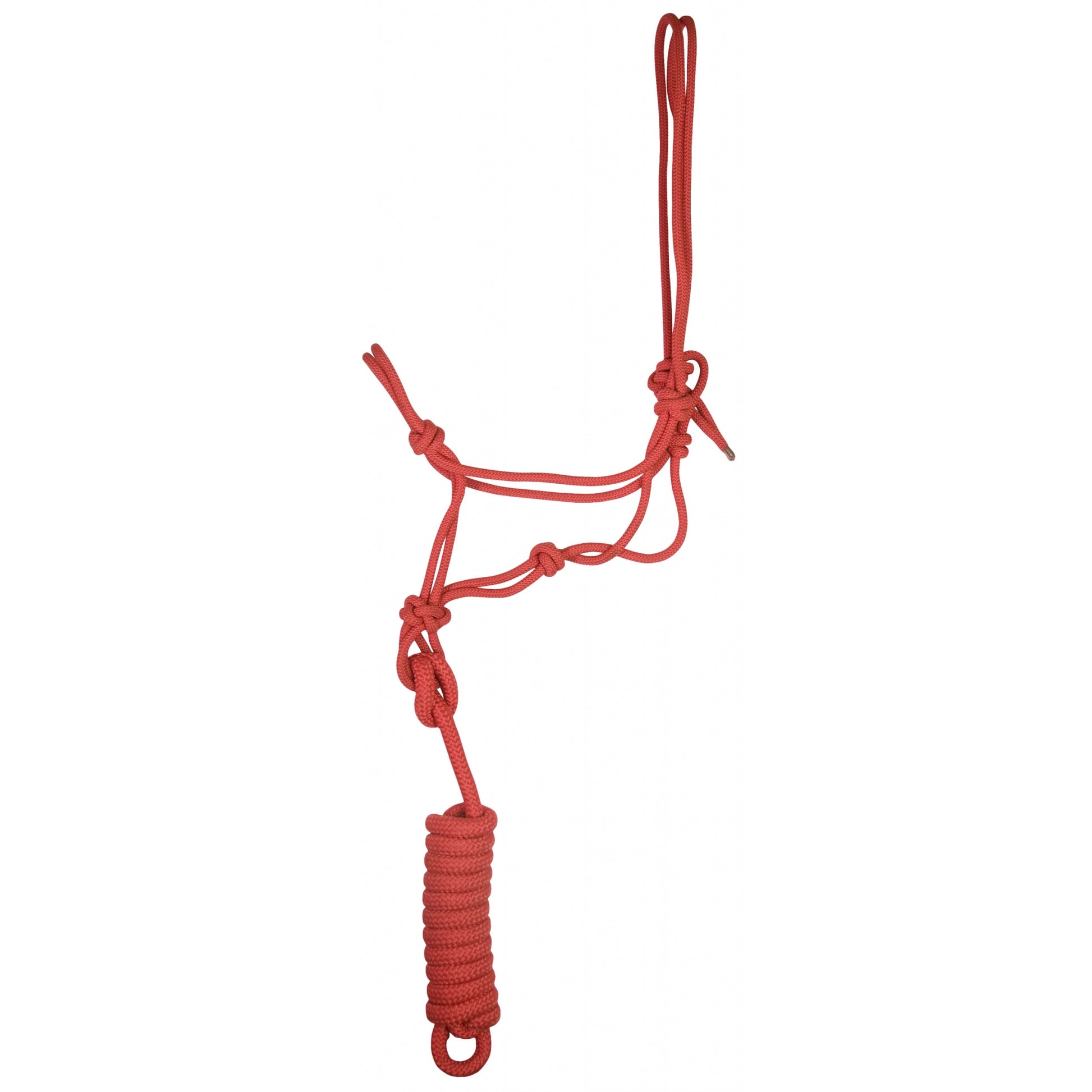 Gatsby Classic Cowboy Halter with Lead